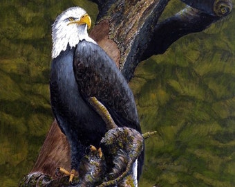 Items similar to Silhouette Bald Eagle on a Tree Branch 8x10 Fine Art ...