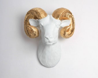 XL White Ram Head Wall Mount w/ Gold Horns - The XL Darby - Faux Taxidermy - Chic & Trendy Ram's Head - White Faux Taxidermy Ram Wall Decor