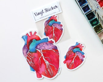 Anatomical Heart, Laptop stickers, vinyl stickers, bumper sticker, science, Anatomical Heart Sticker, science sticker, cool sticker