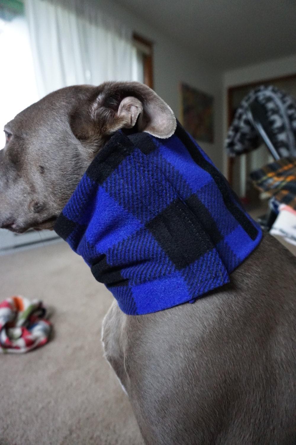 Dog Snood Velcro