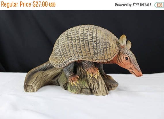 real stuffed armadillo for sale