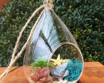 Hanging terrarium/succulent terrarium/beach themed/succulent garden/succulent wedding decor/party favor/terrarium/succulent planter