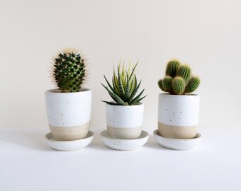 Set of 3 Ceramic Planters & Saucers - White Quail
