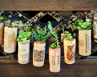 Wine Cork Succulent Bouquets w/ Moss + Free Gift!
