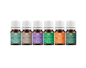 Top 6 Essential Oil Set Kit Variety 100% Pure Therapeutic Grade 5 ml. Includes Peppermint, Lavender, Orange, Rosemary, Eucalyptus, Tea Tree