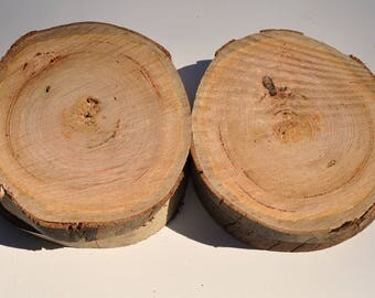 Chunky Wood Slices, 7 inch Eucalyptus Wood Slices, Large wood slab, Large Wood Slices, Eucalyptus Wood Slices, Tree Slice, Rustic Decor