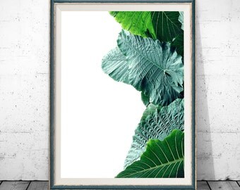 Tropical Print, Nature Photography, Print, Botanical Print, Wall Art, Posters, Prints, Leaf Print, Tropical Decor, Large Poster Print