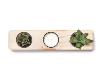 Succulent Planter | The Rec. Wooden Succulent Planter, Hand Made.