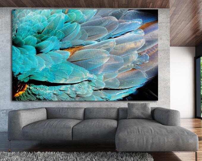Colorful feathers wall art bedroom decor canvas print set of 3 or 5 panels, large colorful feathers wall art macro photography canvas poster