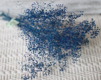 Blue Dried Baby Breath, Real Dried Baby breath bunch, dried Flowers Supplies,small Bleu Marin baby breath bunch, Navy Dried Baby breath