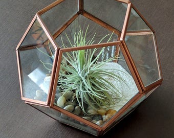 Geometric Copper Air Plant Terrarium with Pebbles, White Sand and Large Air Plant Kit - Best Seller