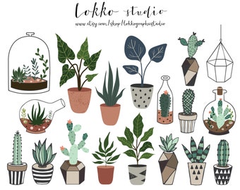 Succulent / Clipart / Cactus / Terrarium / Cacti / PNG / Floral / Wedding / Plant / Vector / Digital / printable
