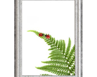 Rendezvous on a leaf - art print