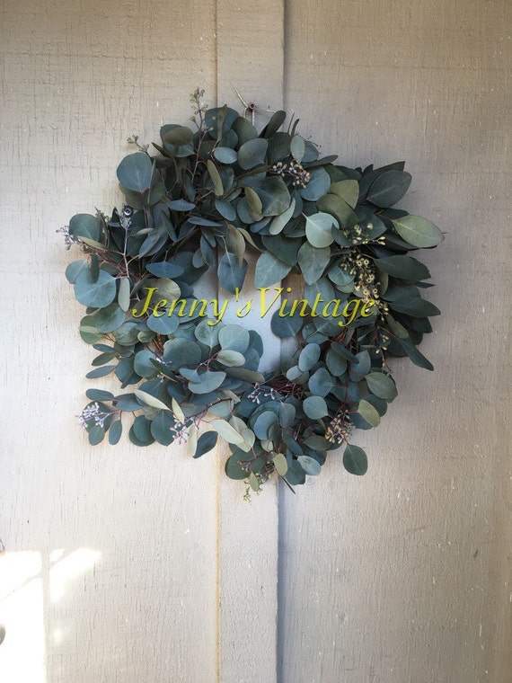 12 Fresh Eucalyptus Wreath made with Seeded Silver