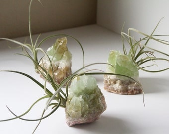 Crystal Air Plant, Green Calcite Geode, Airplant Display, Spiritual Gift For Friend, Yogi, Therapist, Soothing Spring Boho Decor