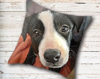 Border Collie, Throw Pillow Cover, Dog Pillow Cover, Puppy Pillow Cover, Dog Lover Gift, Dog Home Decor, Dog Pillow Case, Puppy Pillow Case