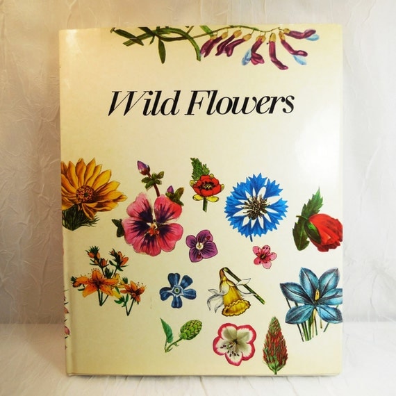 Wild Flowers - Matthias Hermann - First Edition 1973 - Botanical Illustrations - Vintage Collectible - Hardcover with Dust Jacket