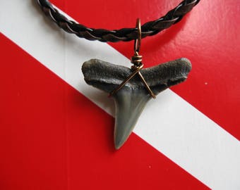 Shark Tooth Necklace, Lemon Shark fossil, Venice-Florida, 18" Braided leather, Bronze wire wrapped