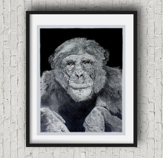 Monkey wall art wildlife animal art prints black and white