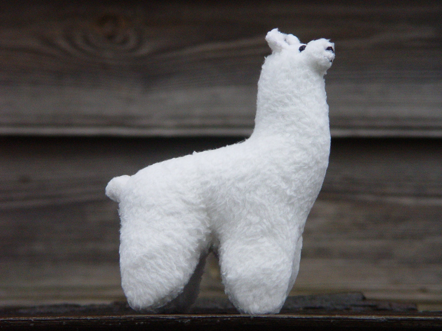 soft llama