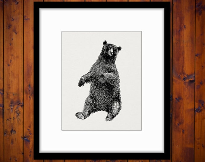 Printable Bear Art Graphic Bear Digital Image Download Forest Nature Animal Antique Clipart Vintage Clip Art Jpg Png Eps HQ 300dpi No.456