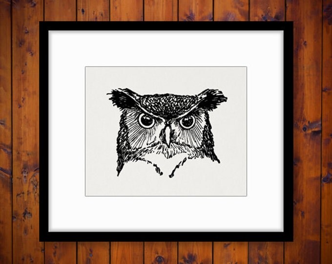 Owl Graphic Printable Digital Bird Head Image Download Vintage Clip Art Jpg Png Eps HQ 300dpi No.547