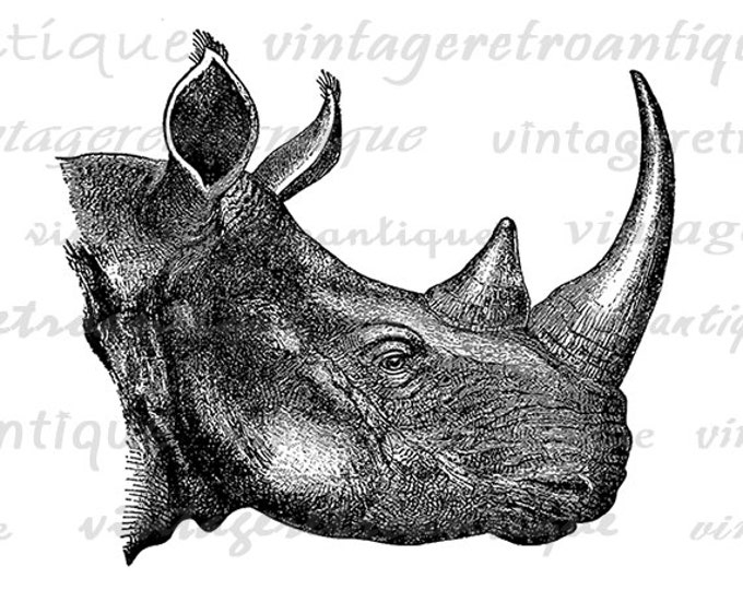 Printable Graphic Rhinoceros Digital Rhino Image Download Illustration Vintage Clip Art Jpg Png Eps HQ 300dpi No.2551