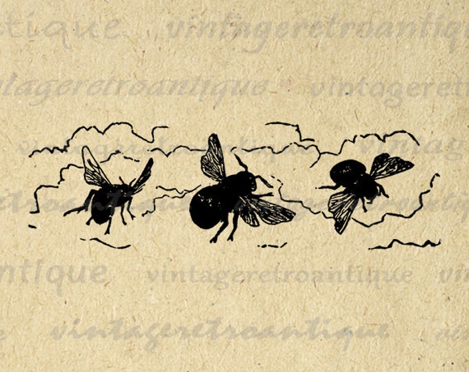 Printable Graphic Three Bees Download Image Digital Artwork Vintage Clip Art Jpg Png Eps HQ 300dpi No.2404