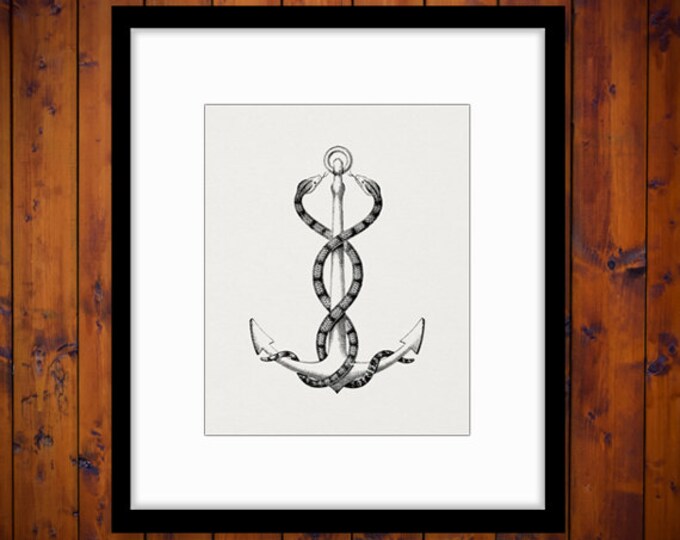 Digital Printable Anchor with Snakes Graphic Navy Ocean Sea Download Image Vintage Clip Art Jpg Png Eps HQ 300dpi No.2223