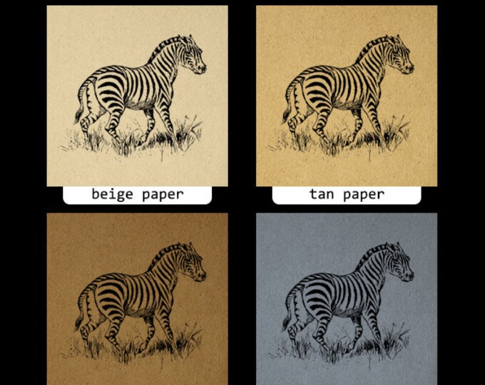 Printable Zebra Graphic Download Image Digital Jpg Png Eps HQ 300dpi No.662