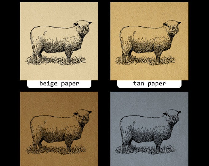 Printable Image Sheep Download Illustration Digital Farm Animal Graphic Antique Clip Art Jpg Png Eps HQ 300dpi No.3156