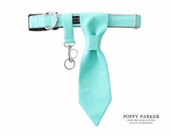 Customizable Wedding Dog Tie - Aqua - Dog Ring Bearer - Dog Of Honor - Best Dog - Choose Your Color