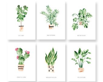 Set of 6 House Plants cards - Illustrated Cards - Botanical Cards - Postcards - House Plants assorted card set - Watercolor - Stationery
