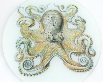 octopus kitchen | etsy octopus kitchen | etsy
