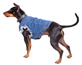 Dog Jacket / Dog Vest / Patches / Dog Denim Jacket/ Denim Dog Vest/ Dog Jacket Denim/ Metal Dog / Cool Dog Jacket