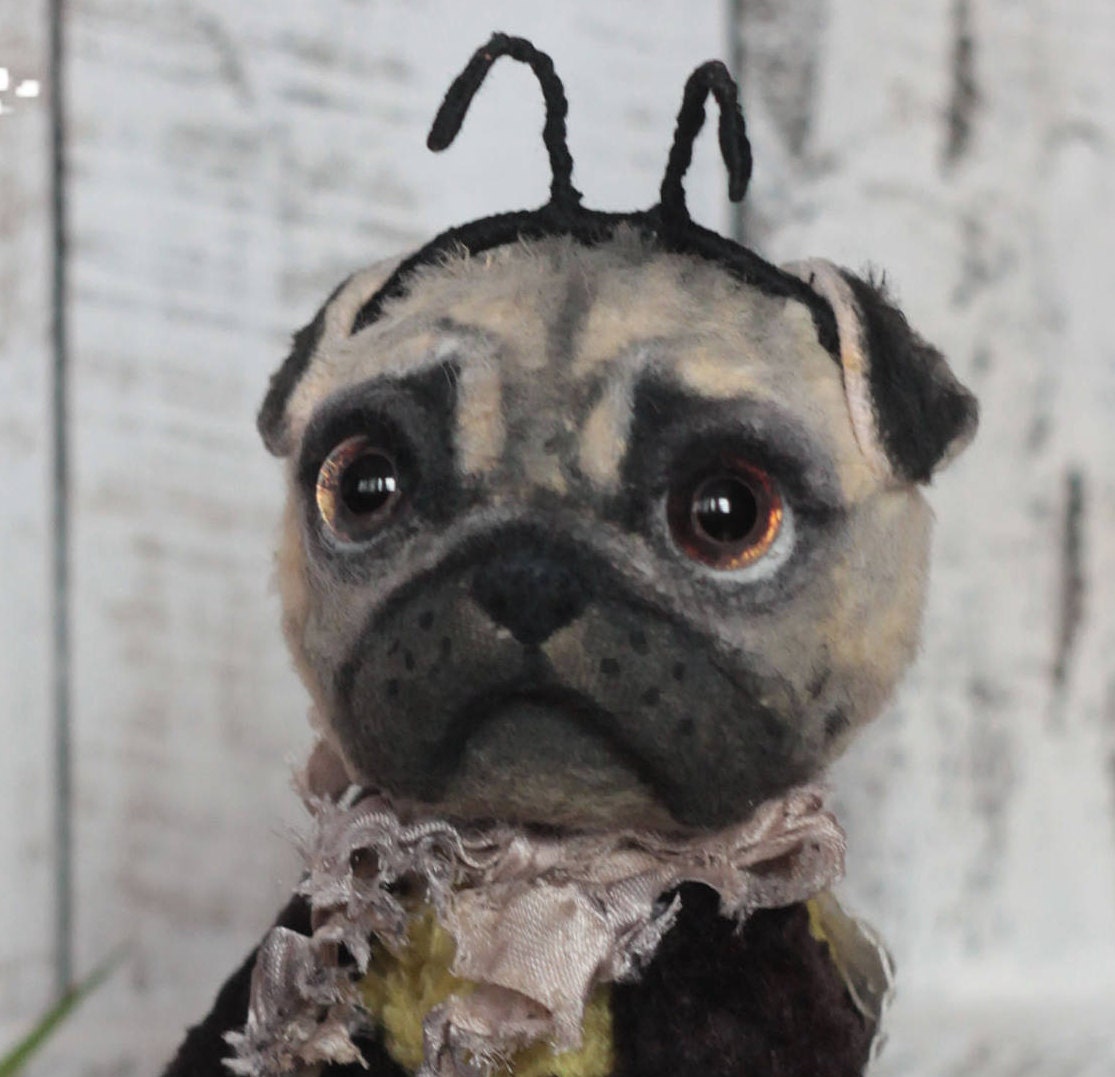 pug teddy