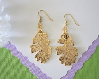 Gold Oak Leaf Earrings, Lacey Oak Leaf, Real Leaf Earrings , Oak Leaf, 24kt Gold, Nature, LESM176
