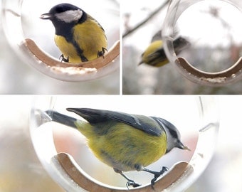 Bird feeder, Hanging bird feeder, Window bird feeder, Modern bird feeder, Birdwatching, Bird lover gift, Gift ideas,