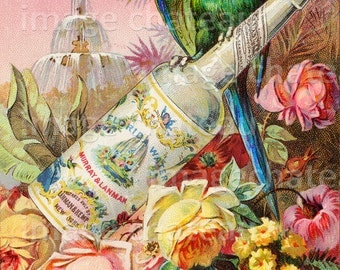 Green PARROT with Florida Water Perfume Bottle Water Fountain and Waterfall and Roses DIGITAL DOWNLOAD Printable Art to Frame imagechateau