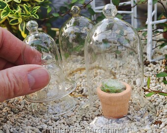 Glass Cloches, Set of 5 for Miniature Garden, Fairy Garden