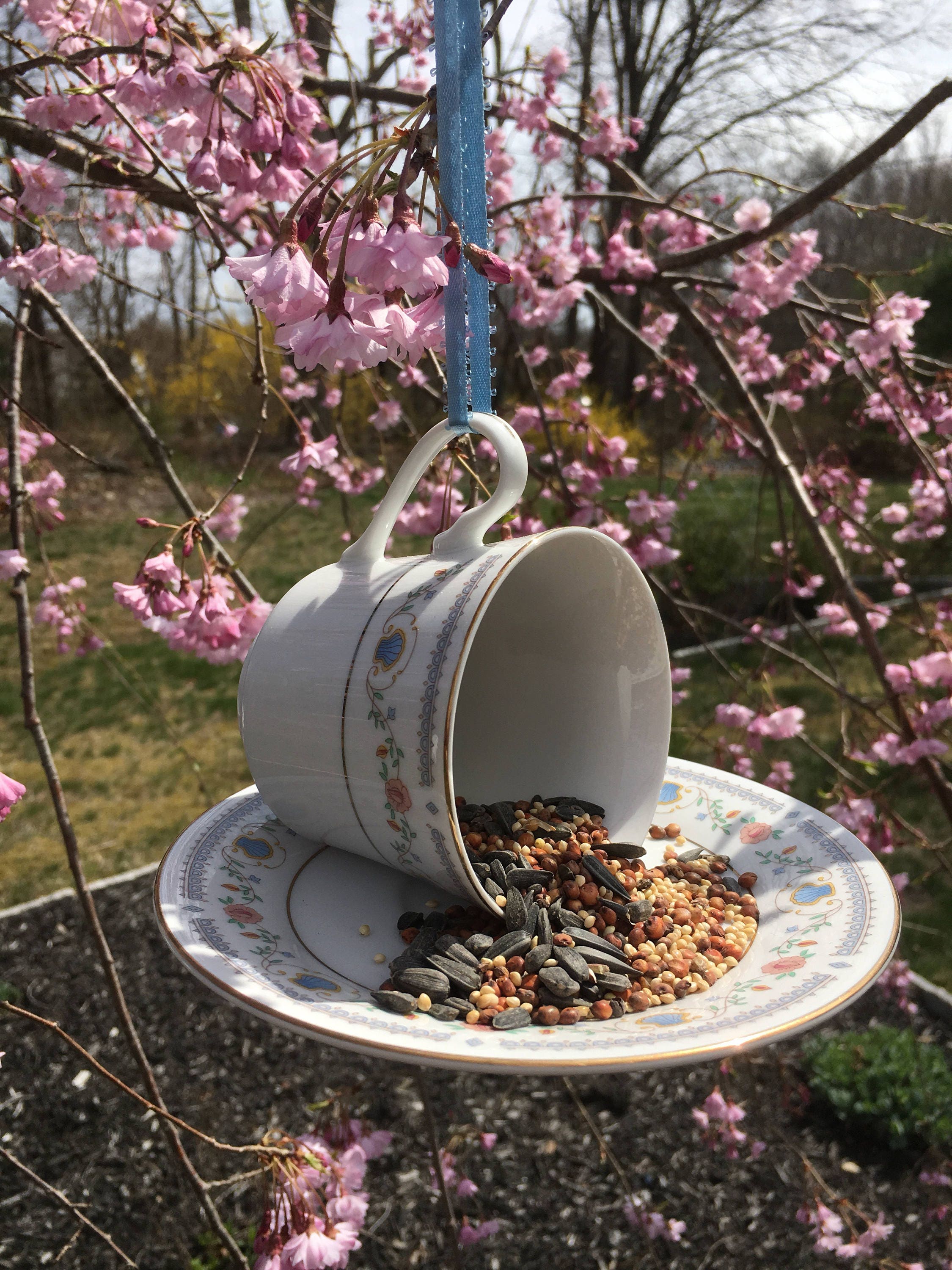 Teacup bird feeder China bird feeder hanging teacup feeder