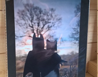 LEGO Batman & Catwoman Lego Print Watching The Sunrise