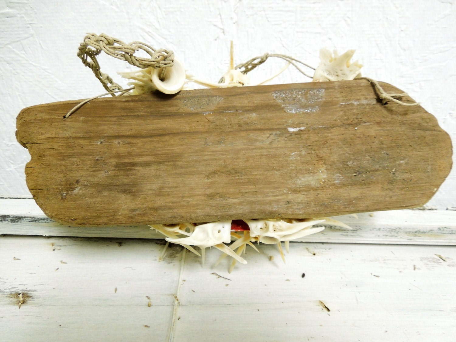 CrabFishBone Wall Hanging Art /Drift Wood Beach Signs/Beach