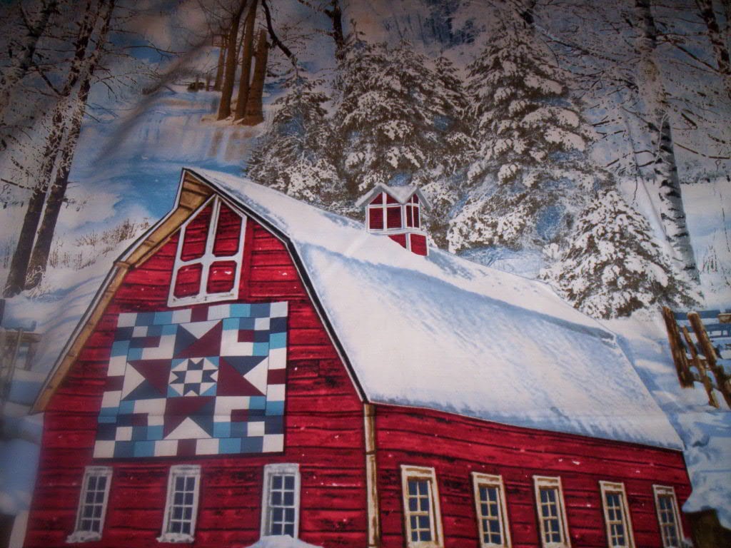 1 Panel Winter Barn Scenic Timeless Treasures Fabrics Quilt Block On Barn Snow Shoes Wood Sled 1024