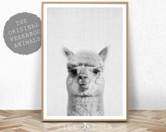 Alpaca Print, Nursery Animal Decor Wall Art, Alpaca Photo, Large Printable Poster, Digital Download, Modern Minimalist, Black and White