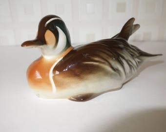Lomonosov duck from Russia