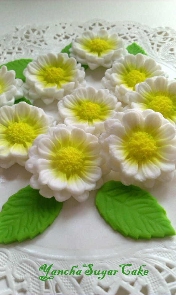 Edible Fondant Daisy Flower Edible green leaf Sugar Gumpaste