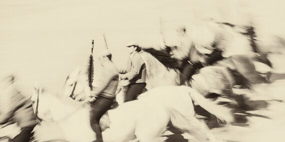 ANDALUCIAN HORSE ART 1. Spanish Horses, Equestrian Print, Equine Art, Photographic Print, Sepia Tone, Galloping Horses, Spain