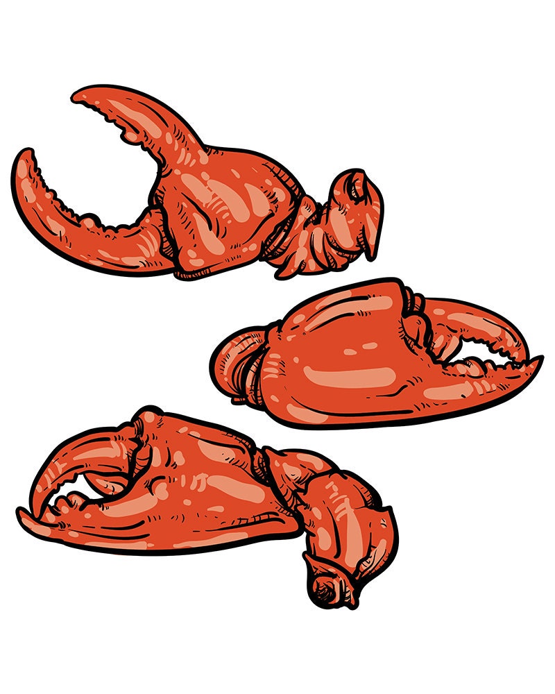 80 Off Sale Crab claws isolated on white background. Hand drawn crab vector. crab claws with