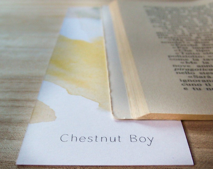 Illustrated Bookmark - Chestnut Boy